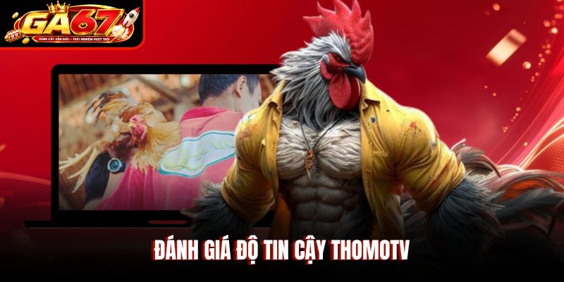 Đánh giá độ tin cậy Thomotv