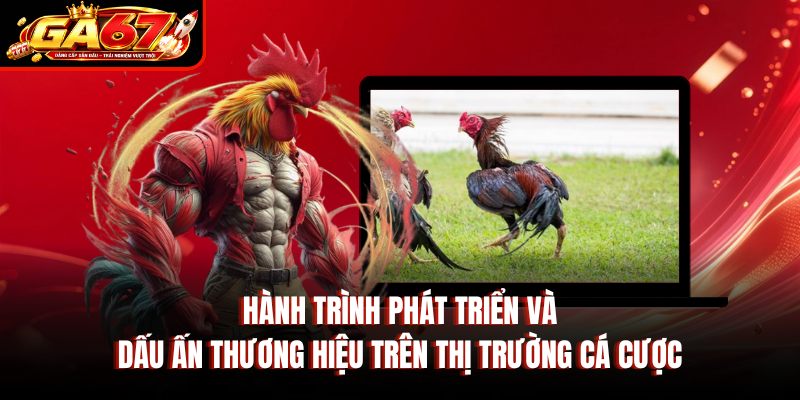 Hành trình phát triển và dấu ấn thương hiệu trên thị trường cá cược