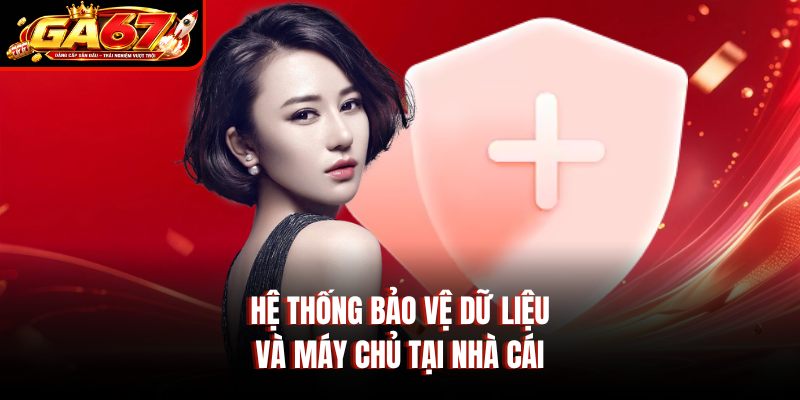 Hệ thống bảo vệ dữ liệu và máy chủ tại nhà cái
