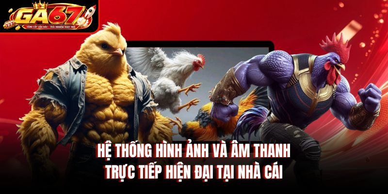 Hệ thống hình ảnh và âm thanh trực tiếp hiện đại tại nhà cái