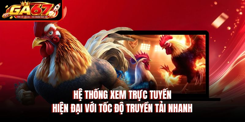 Hệ thống xem trực tuyến hiện đại với tốc độ truyền tải nhanh