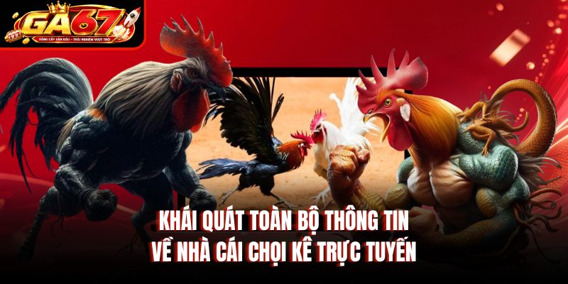 Khái quát toàn bộ thông tin về nhà cái chọi kê trực tuyến