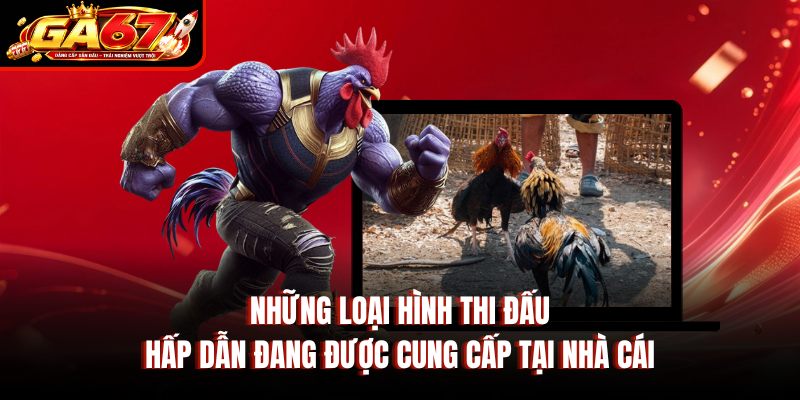 Những loại hình thi đấu hấp dẫn đang được cung cấp tại nhà cái