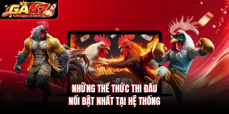 Những thể thức thi đấu nổi bật nhất tại hệ thống