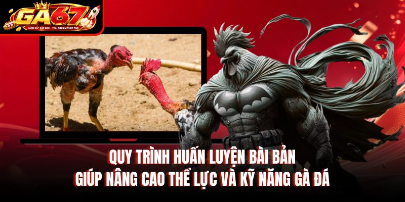 Quy trình huấn luyện bài bản giúp nâng cao thể lực và kỹ năng gà đá