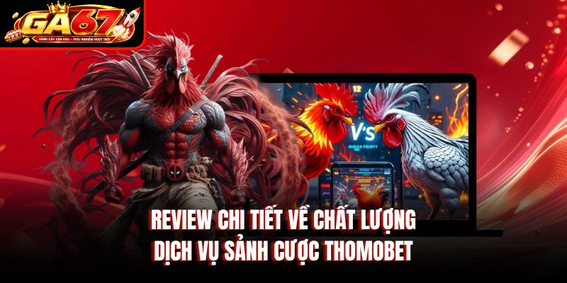 Review chi tiết về chất lượng dịch vụ sảnh cược Thomobet