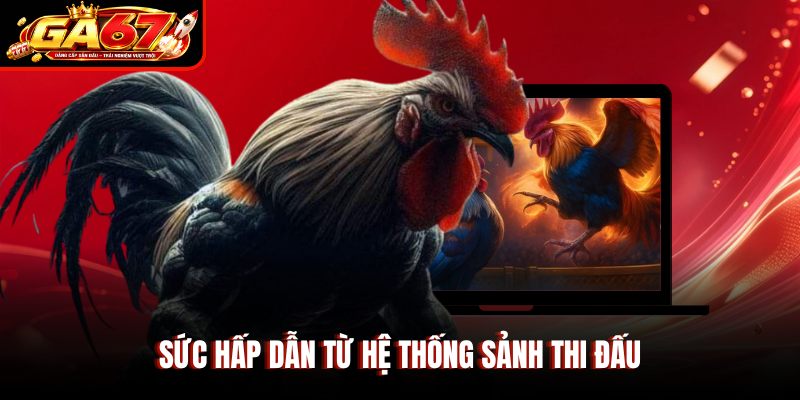 Sức hấp dẫn từ hệ thống sảnh thi đấu