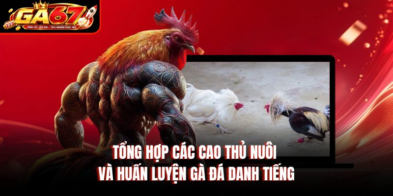 Tổng hợp các cao thủ nuôi và huấn luyện gà đá danh tiếng