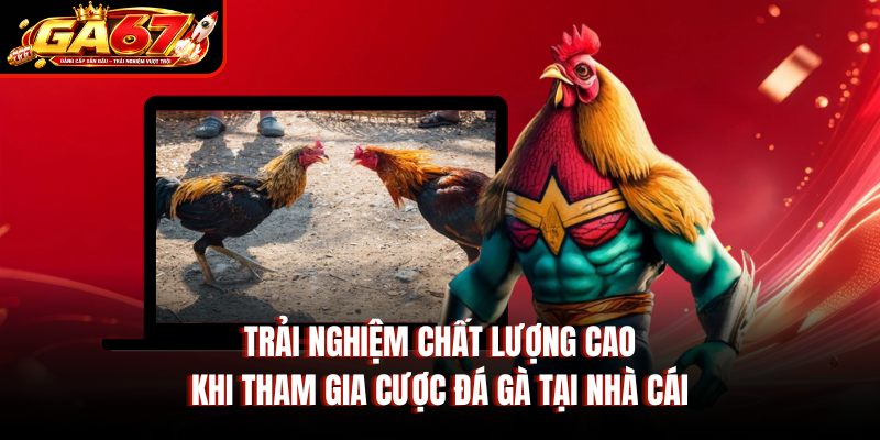 Trải nghiệm chất lượng cao khi tham gia cược đá gà tại nhà cái