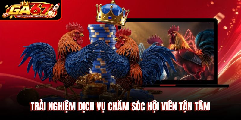 Trải nghiệm dịch vụ chăm sóc hội viên tận tâm