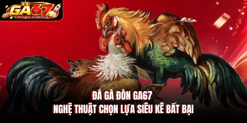 Đá Gà Đòn GA67 - Nghệ Thuật Chọn Lựa Siêu Kê Bất Bại
