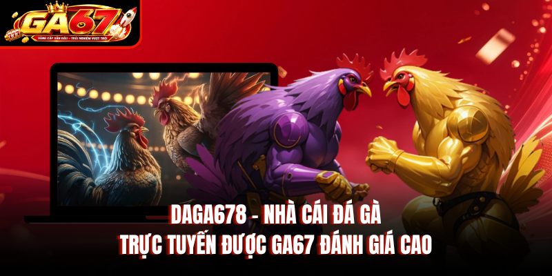 Daga678 – Nhà Cái Đá Gà Trực Tuyến Được GA67 Đánh Giá Cao