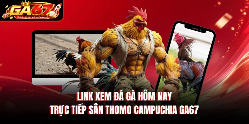 Link Xem Đá Gà Hôm Nay - Trực Tiếp Sân Thomo Campuchia GA67