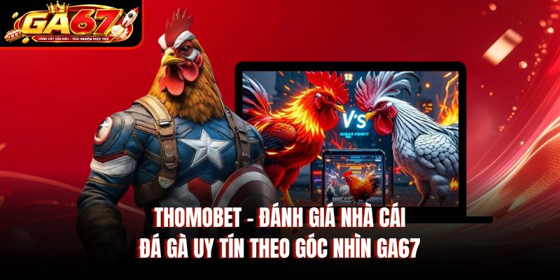 Thomobet – Đánh Giá Nhà Cái Đá Gà Uy Tín Theo Góc Nhìn GA67
