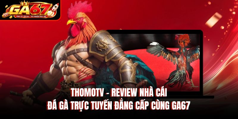 Thomotv – Review Nhà Cái Đá Gà Trực Tuyến Đẳng Cấp Cùng GA67