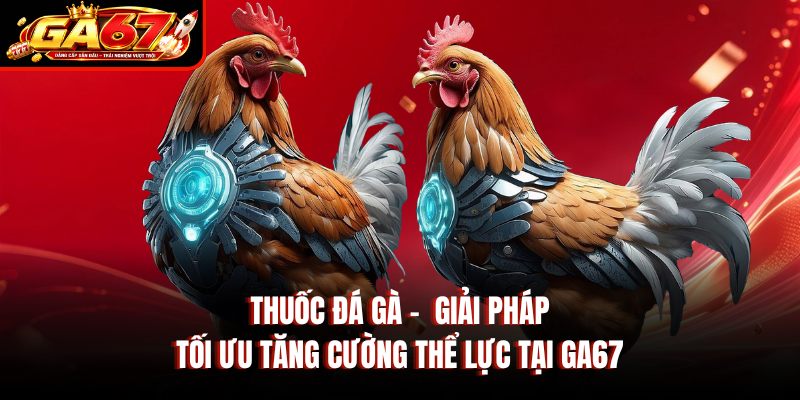 Thuốc Đá Gà - Giải Pháp Tối Ưu Tăng Cường Thể Lực Tại GA67