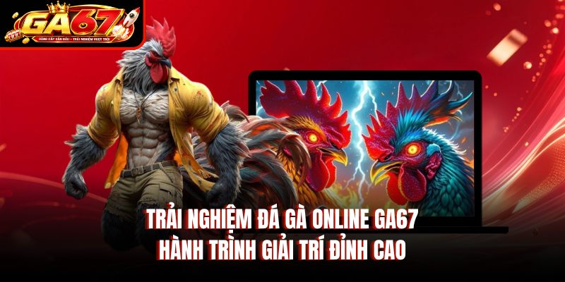 Trải Nghiệm Đá Gà Online GA67 - Hành Trình Giải Trí Đỉnh Cao